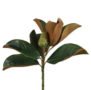 MAGNOLIA FLORAL BUD